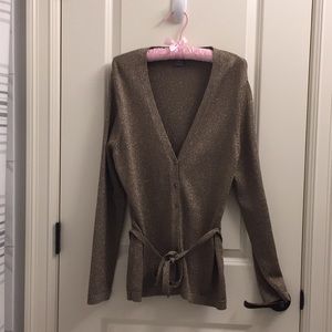 Ann Taylor Sweater
